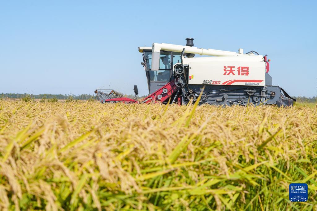 捕鱼注册立即送18金币